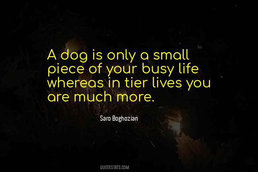 A Dog Is Quotes #890122