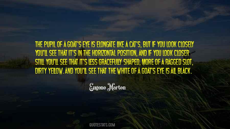 Short Yellow Quotes #1537524