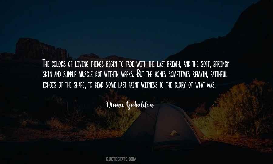 The Memory Of Things Quotes #699996