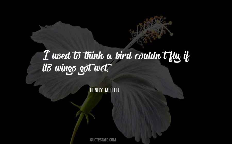 If These Wings Could Fly Quotes #46447