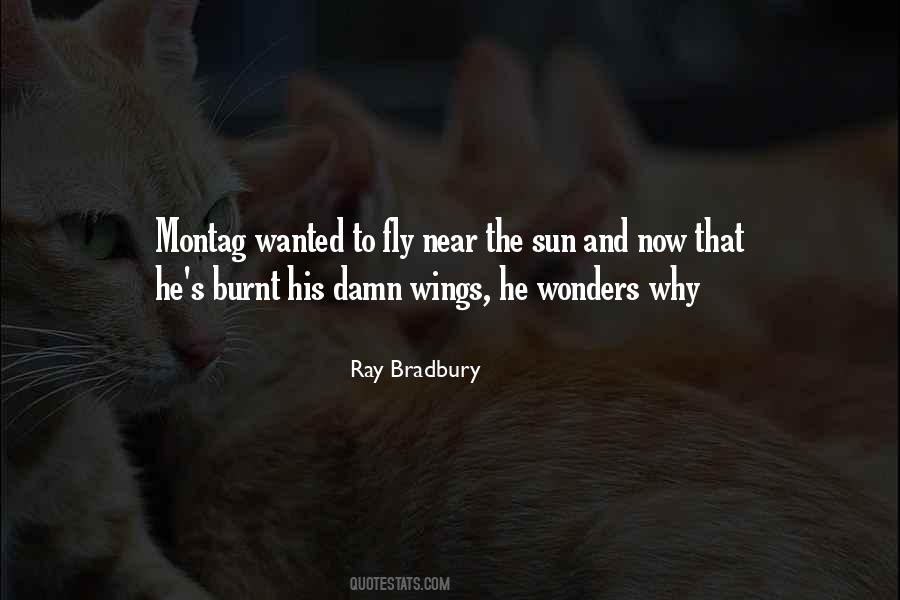 If These Wings Could Fly Quotes #66537