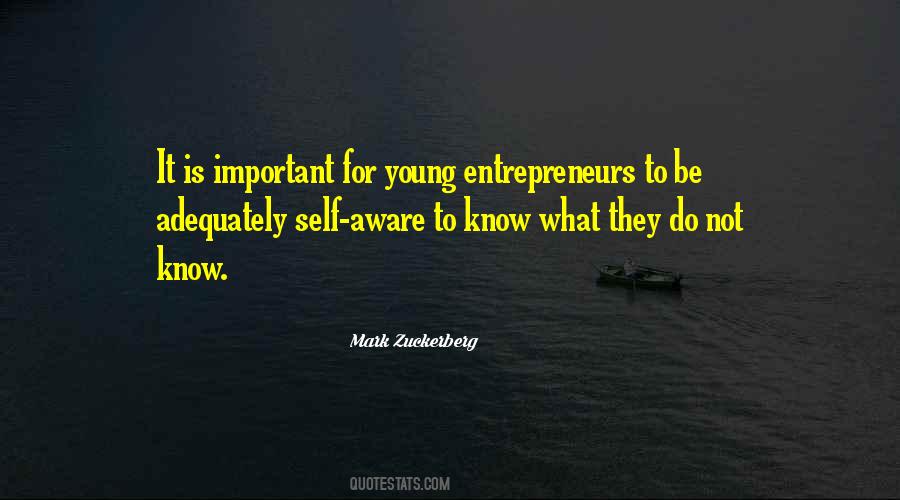 Entrepreneurs Quotes #1224805