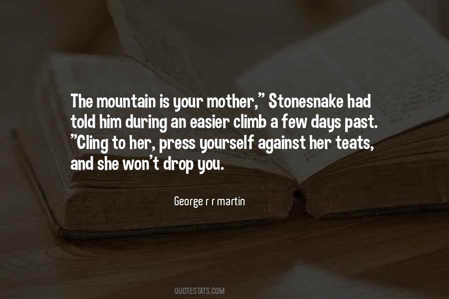 Cling To The Past Quotes #1433879