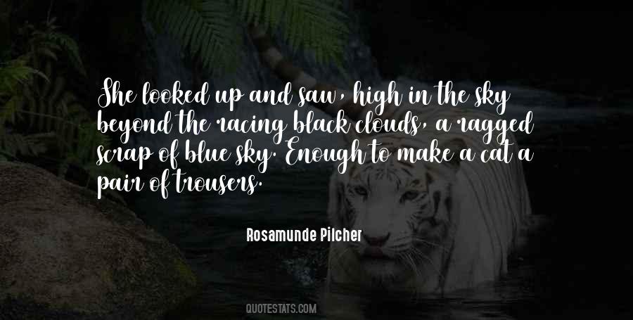 No Clouds In The Sky Quotes #195641