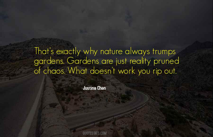 Nature Chaos Quotes #879408