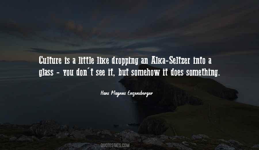 Enzensberger Quotes #649282