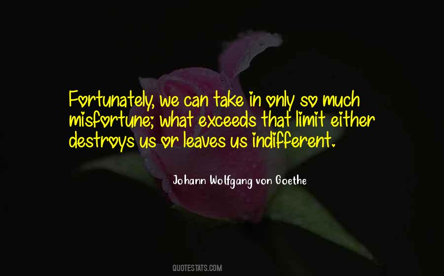 Can Only Take So Much Quotes #1189982