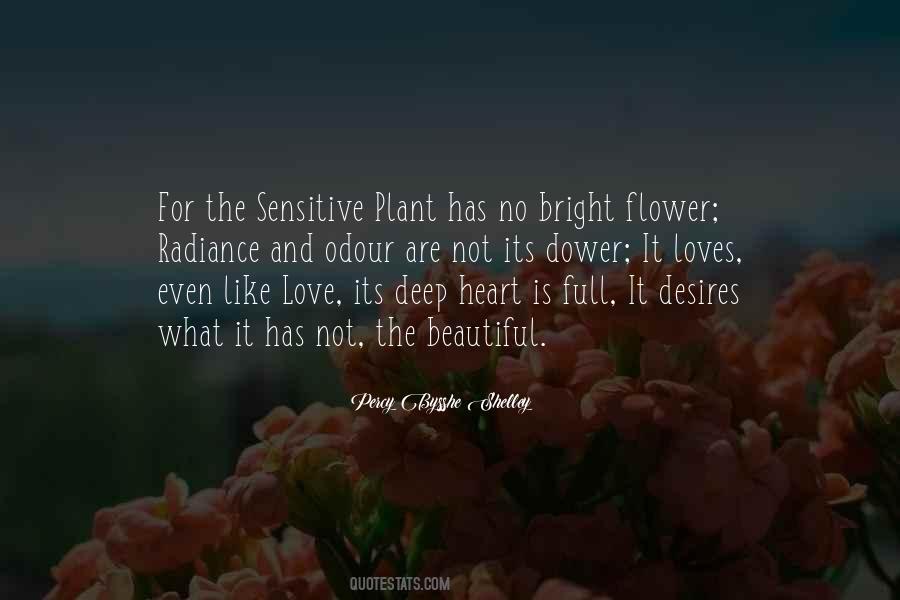 Sensitive Love Quotes #1125520