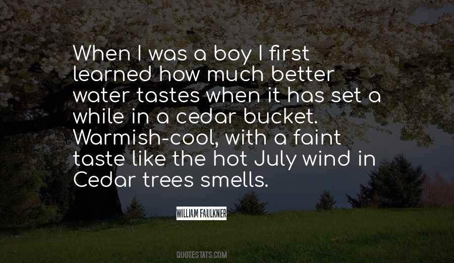 Water Boy Quotes #572161