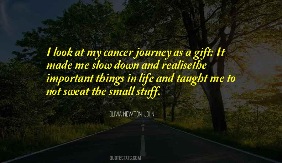 Quotes About The Life Journey #138250