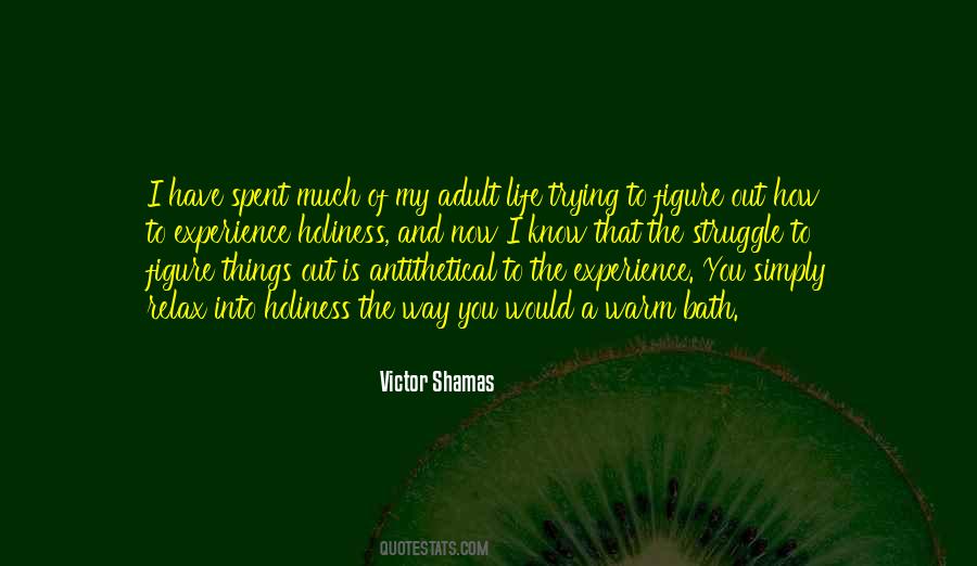 Quotes About The Life Journey #163506