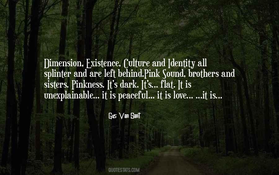 Quotes About Identity And Culture #265077