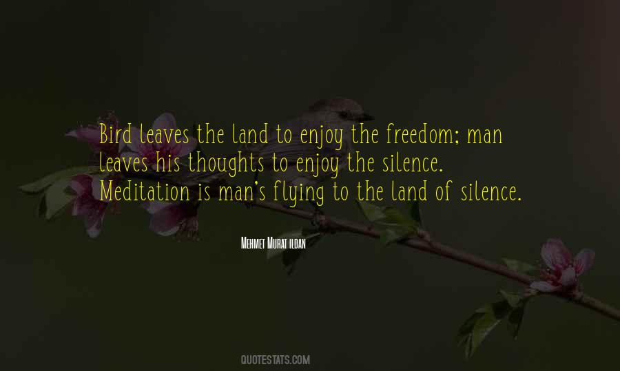 Enjoy The Freedom Quotes #403171