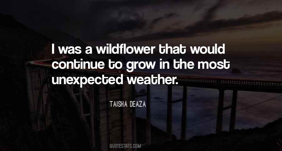 Quotes About A Wildflower #714545