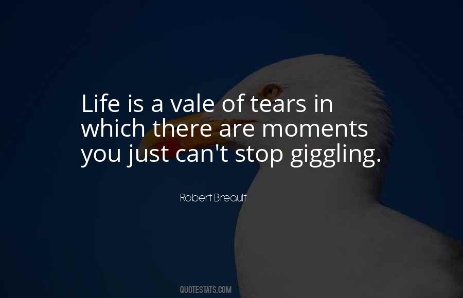 Moments Of Laughter Quotes #1187099