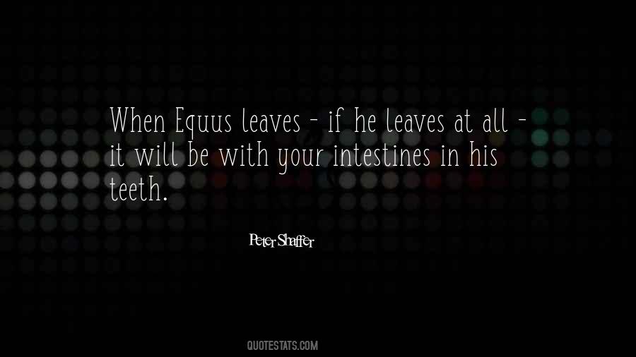 Equus Quotes #153875