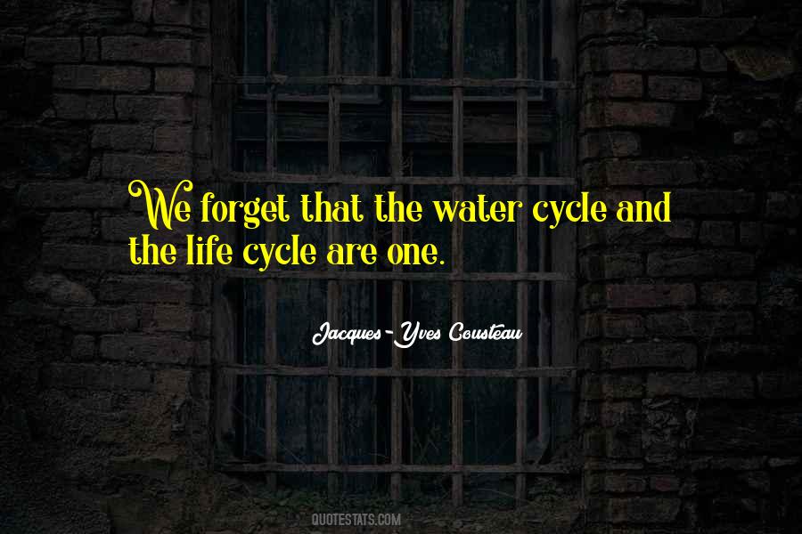 Quotes About The Life Cycle #232173