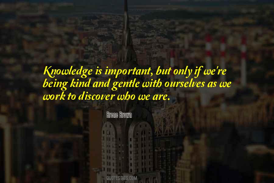 Knowledge Is Important Quotes #1676087