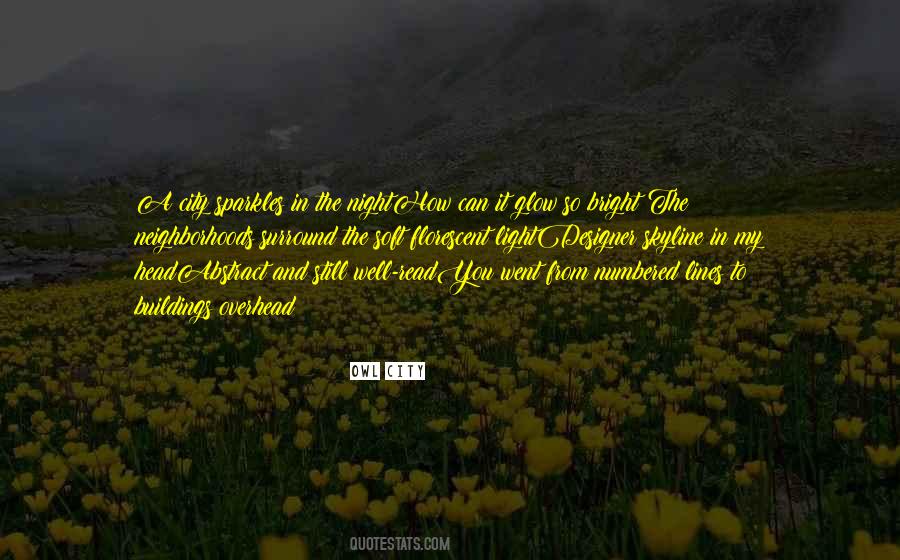 A Night Owl Quotes #165993