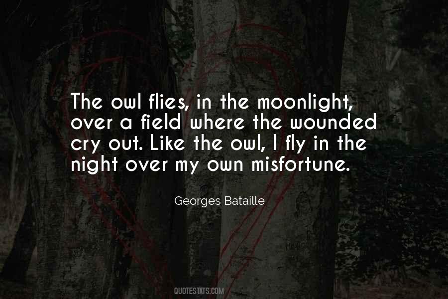 A Night Owl Quotes #769894