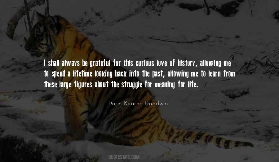 Looking Back On My Life Quotes #516015