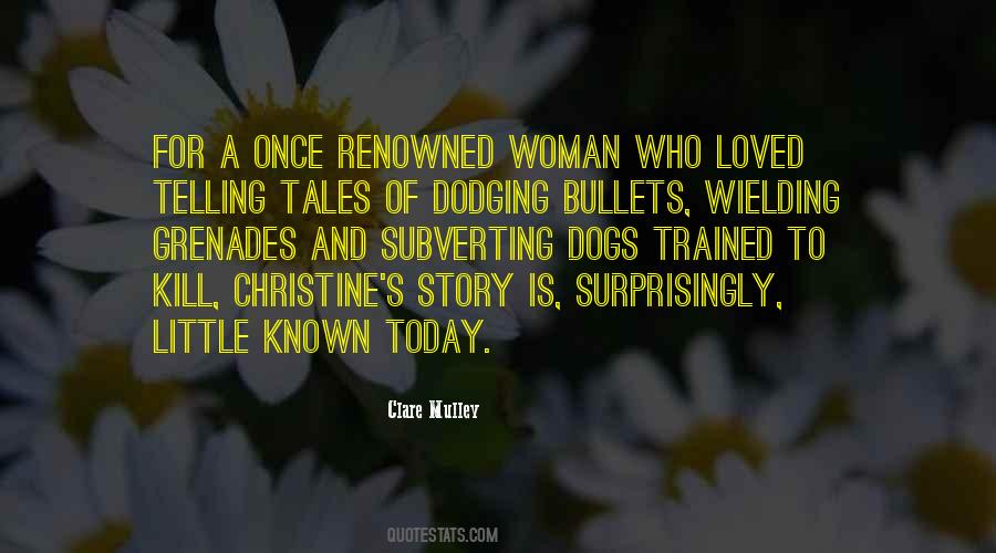 Secret Story Quotes #1333003