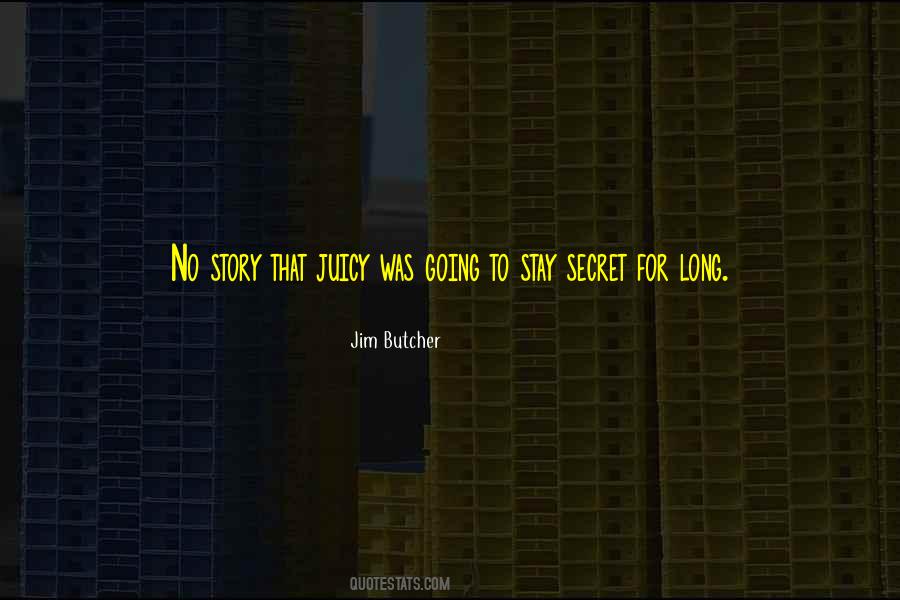 Secret Story Quotes #1406287