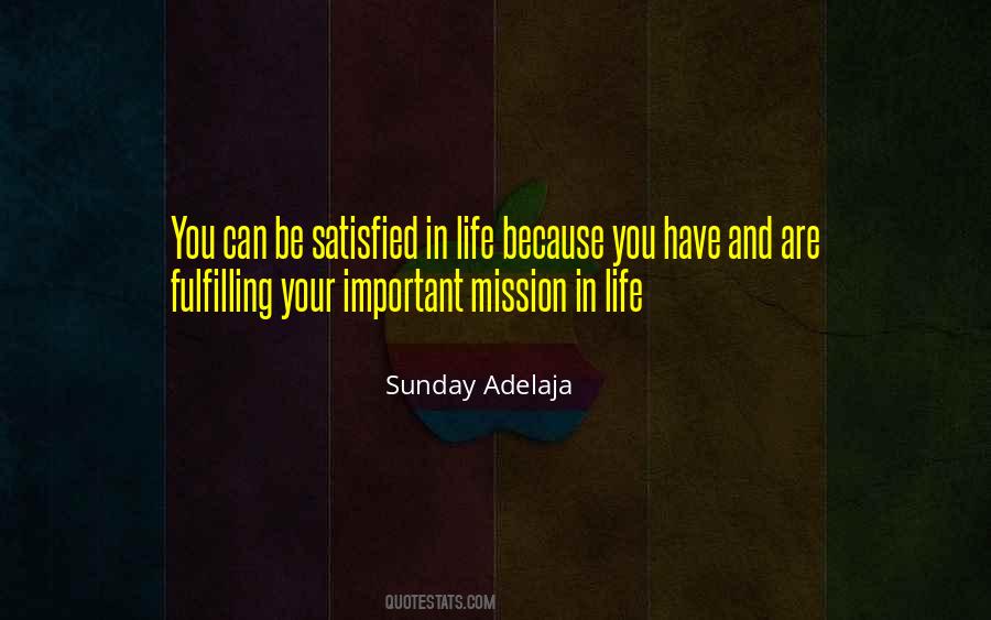 Are You Satisfied Quotes #851047