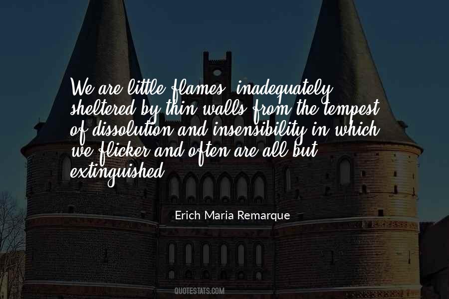 Erich Remarque Quotes #507143