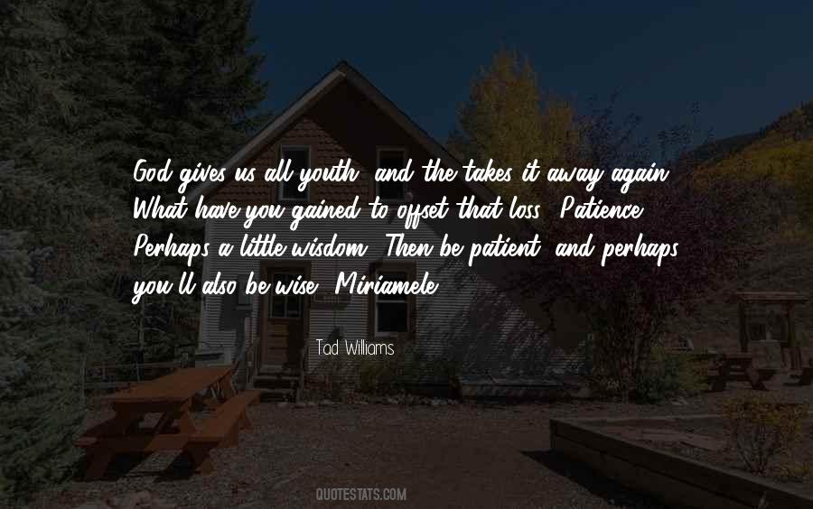 Patience Wise Quotes #712230