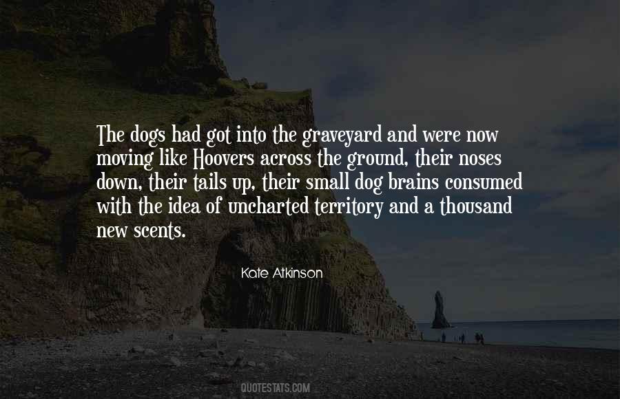 Quotes About A New Dog #1025824