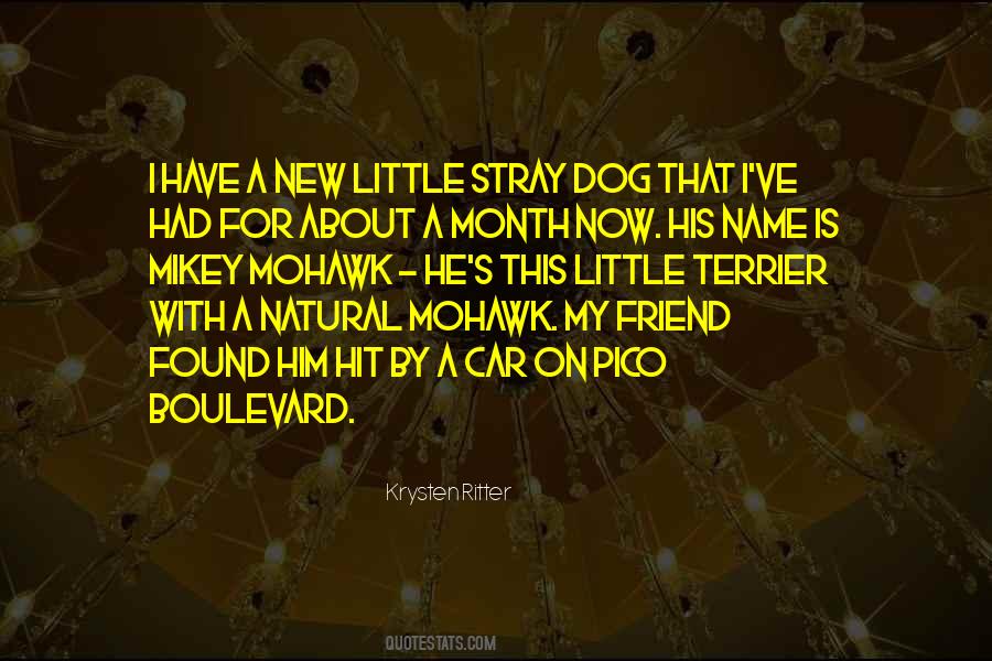 Quotes About A New Dog #1555095
