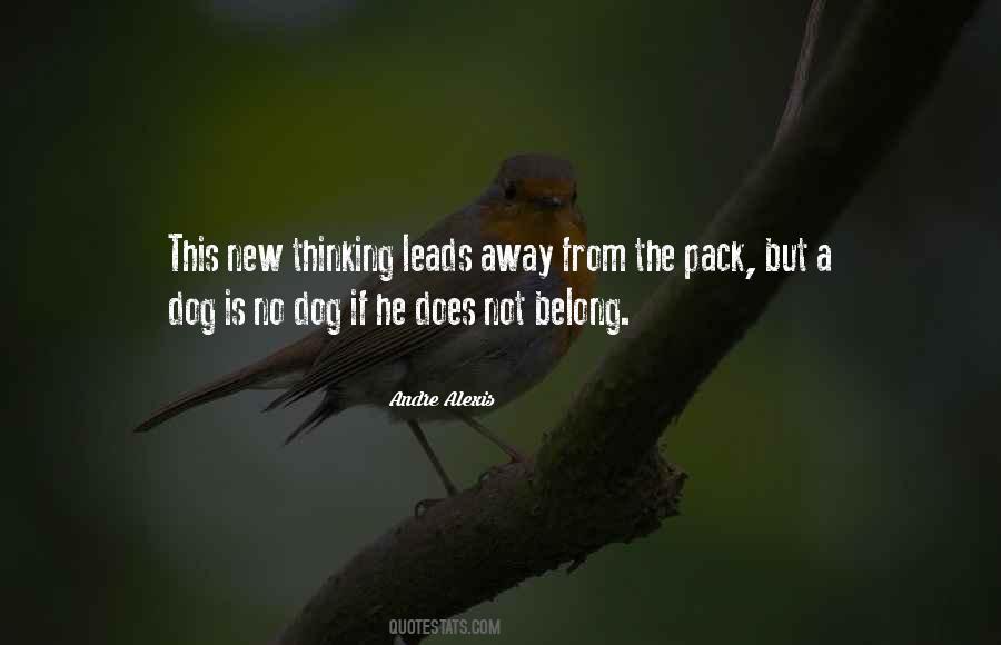 Quotes About A New Dog #1779044