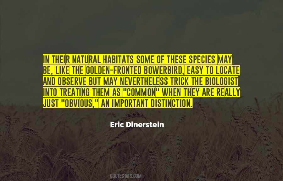 I Like To Observe Quotes #1572517