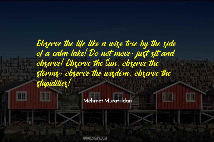 I Like To Observe Quotes #861609