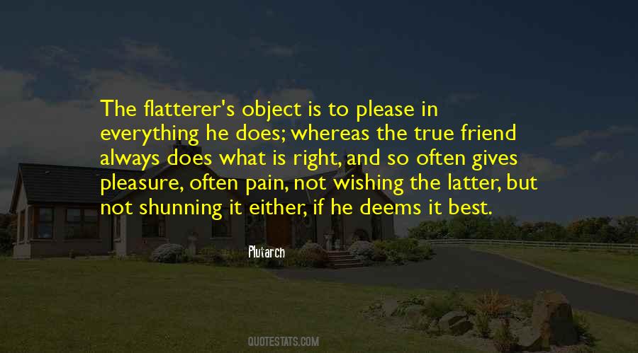 Friend In Pain Quotes #626425