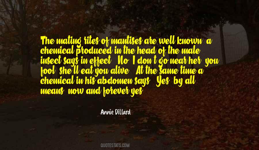 Forever Alive Quotes #864259