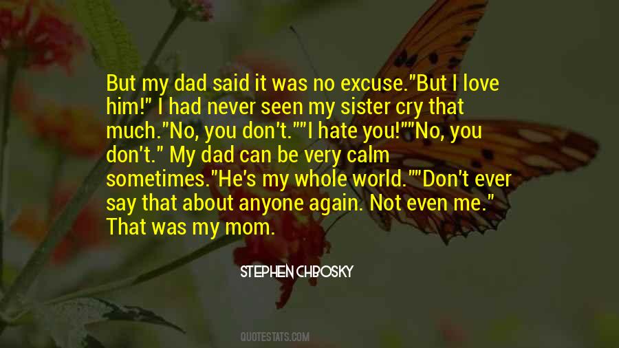 Not Being Seen Quotes #238444