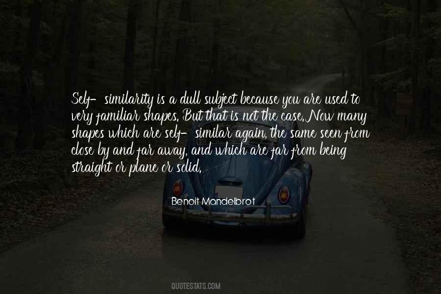 Not Being Seen Quotes #971471