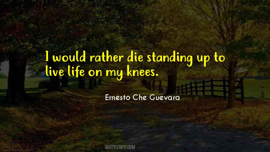 Ernesto Che Quotes #482685