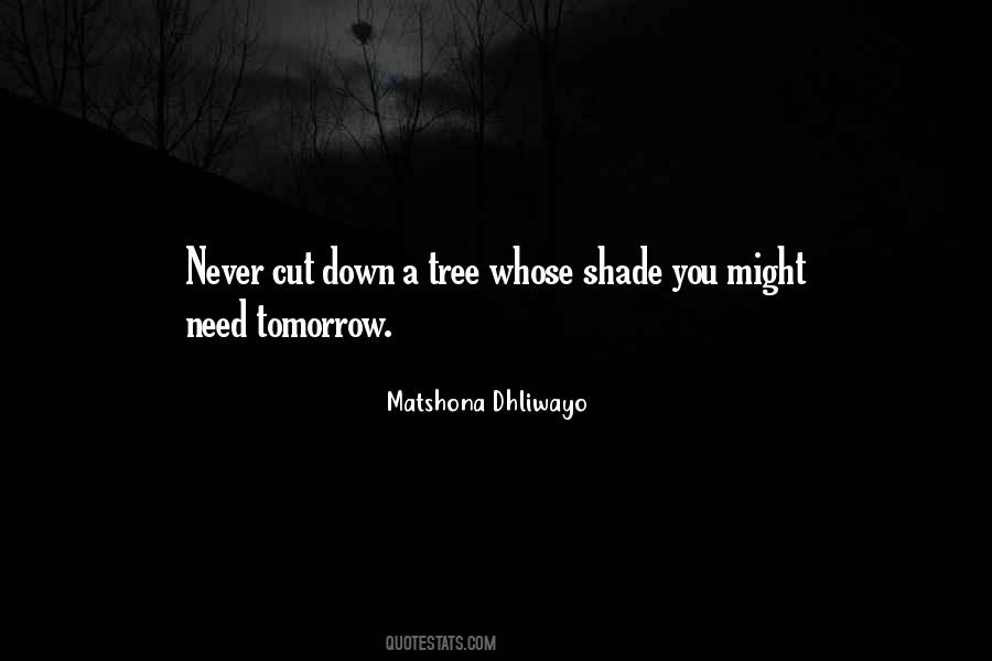 Wise Tree Quotes #1600005