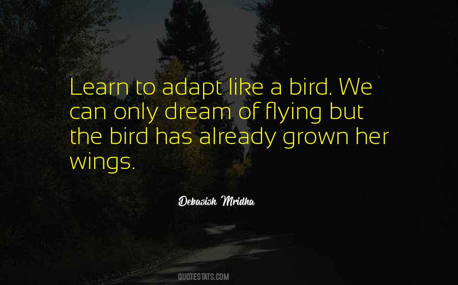 Bird Philosophy Quotes #591065