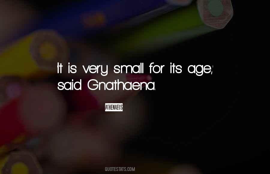 Small Food Quotes #685914
