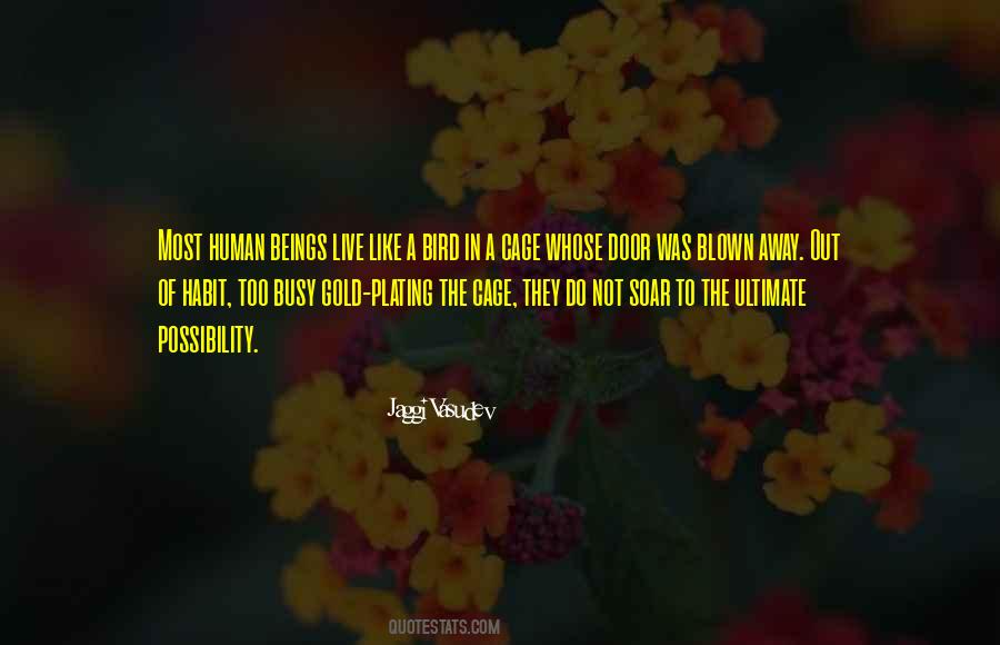 Not Too Busy Quotes #768294