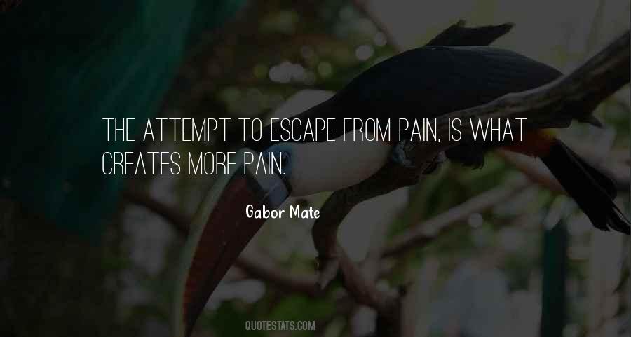 Escape The Pain Quotes #358487
