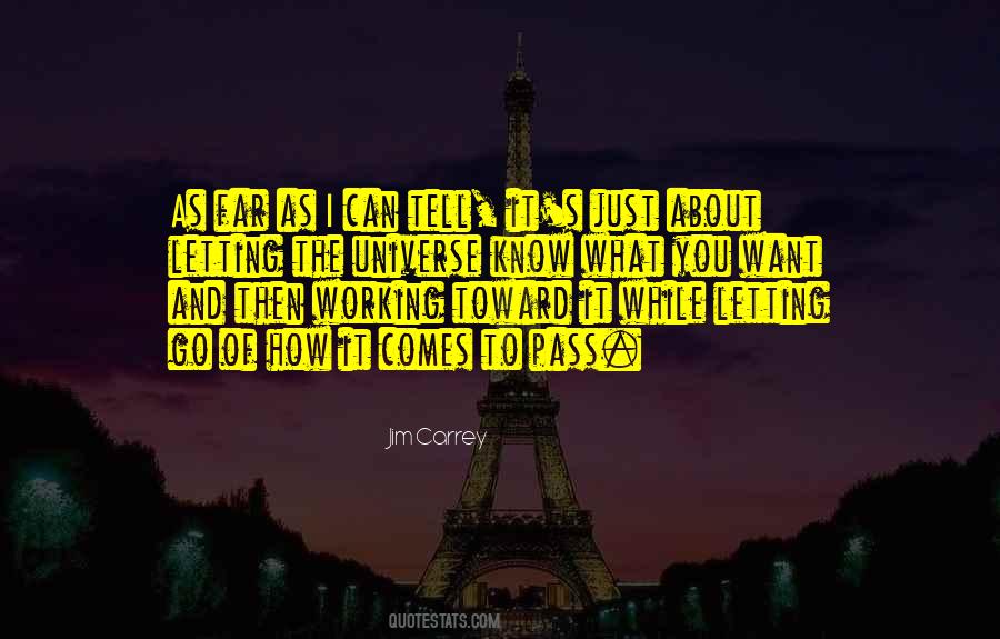 How Far Can I Go Quotes #843767