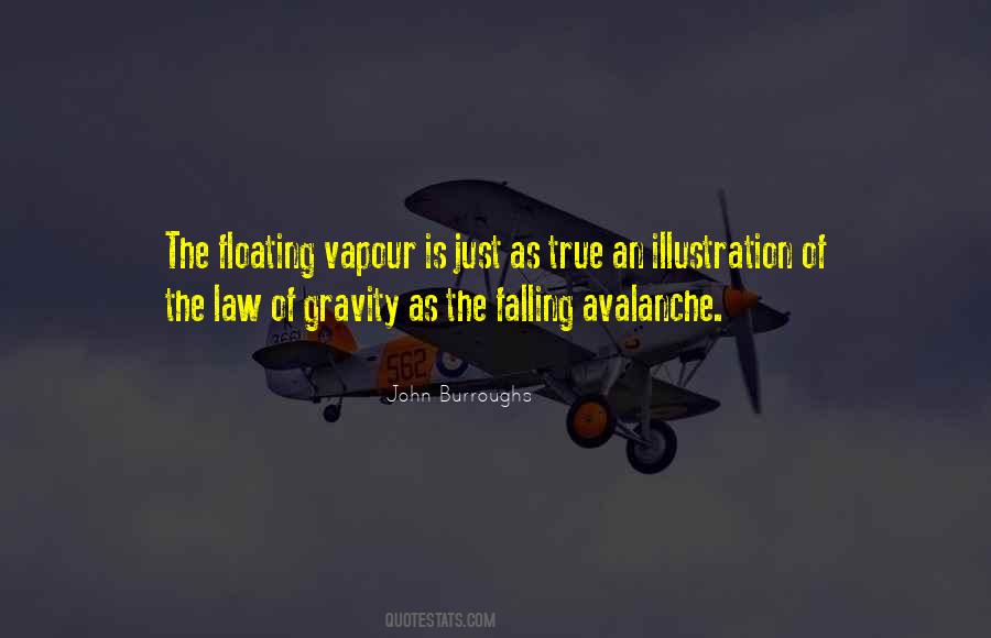 Quotes About The Law Of Gravity #1412256