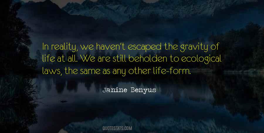 Quotes About The Law Of Gravity #563396