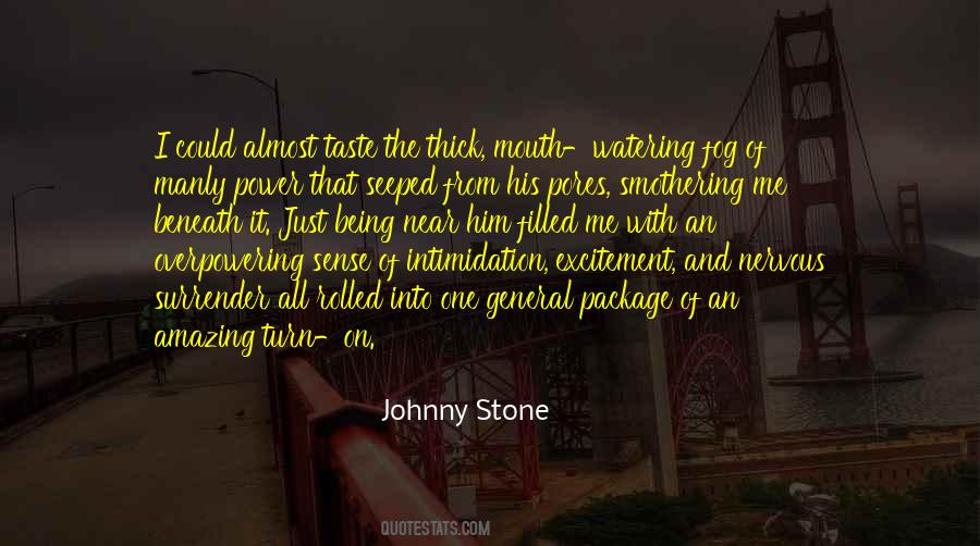 Into The Fog Quotes #444538