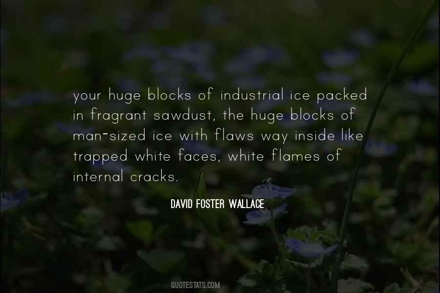 Ice Man Quotes #1660777